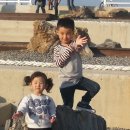 시후수산