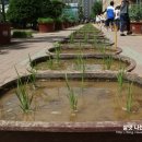 쌍정초등학교 네이버블로그