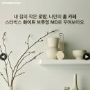 화이트그루밍 이미지