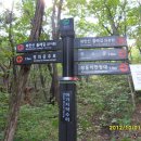 쌍둥이 농원 이미지