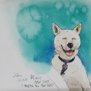 어반스케치 이미지