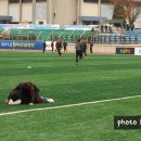 챔피언 태권도 이미지