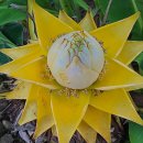 댕댕이집 이미지