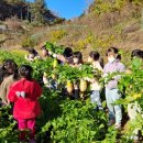 궁평초등학교 이미지