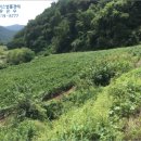 원통초 신덕분교장 네이버블로그