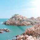 2025 간절곶 해맞이 행사 이미지