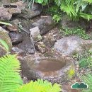 렉스필드 컨트리클럽 | 렉스필드CC에서의 멋진 하루