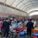 벌교오일시장4 이미지