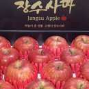 열매상회