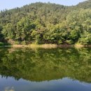 새마음 작은도서관 네이버블로그