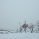 솔빛공원 1 이미지