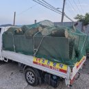 무릉도원면-4 이미지