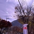 팔공칼국수 | [팔공산] 팔공제면 솔직 후기 / 칼국수 국물 맛집