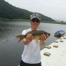 명품향어 이미지