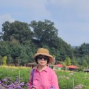 나래농원 이미지