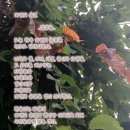 자연의숨결 이미지