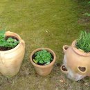 허브 식물과 향기의 이용 이미지