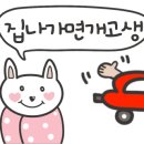 웰컴독 애견펜션 이미지