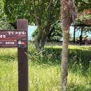 실안소공원 이미지