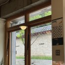 똥광호프 | 7월 일상 #4 내 맛집 위주 서울 가이드 (광장시장, 익선동, 을지로, 성수, 건대 놀거리)