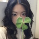 헤어솜