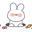 지니어스에어