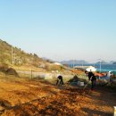 은하수농장 이미지