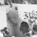 이승만 카카오 검색결과