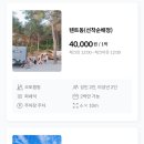 가은 해솔 캠핑장 이미지