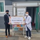 펫로스 케어 이미지