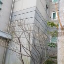 이편한뜰어린이집 이미지