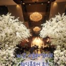 지에스25 W타워점 | [W.2 웨딩홀 27년] 송파 서울웨딩타워 홀투어 후기 및 견적공유 (계약 X)