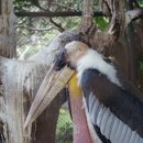 연상농장 이미지