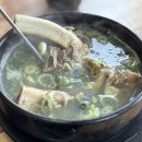 착한 다슬기 이미지