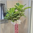 삼화공인중개사사무소 이미지