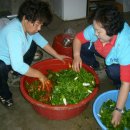 안인농장 이미지