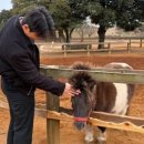 승훈목장 이미지