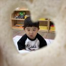 국공립푸른숲어린이집