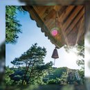 라드라비 이미지