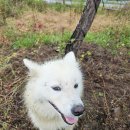 신월동063 이미지