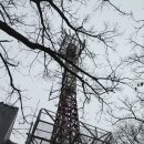 양석농장 | 3450온누리산악회 정기산행 대모산과 인능산 연계산행후기