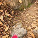 척추자세교정 걷기 테라피 이미지