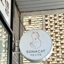 그루밍140 | 수원 고양이 무마취 미용 소나캣에서 죽은털 제거와 목욕 한 후기