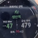 KBS대전방송총국 | 빵빵런2025 in 대전 10km코스 참가 후기(feat. 주차 설탕물팁)