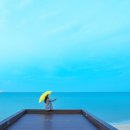 망상오토캠핑리조트 이미지