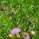 장산마을회관 내 이미지