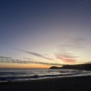 로즈비치 이미지