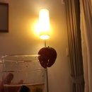 명자수산 이미지