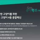 광화문동물병원 이미지