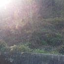 여수바다부동산공인중개사사무소 이미지